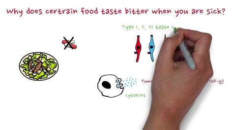 why does everything taste bad when sick|Dysgeusia: Definition, Treatment & Causes .